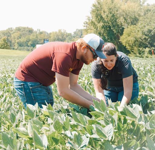 agbs field crops