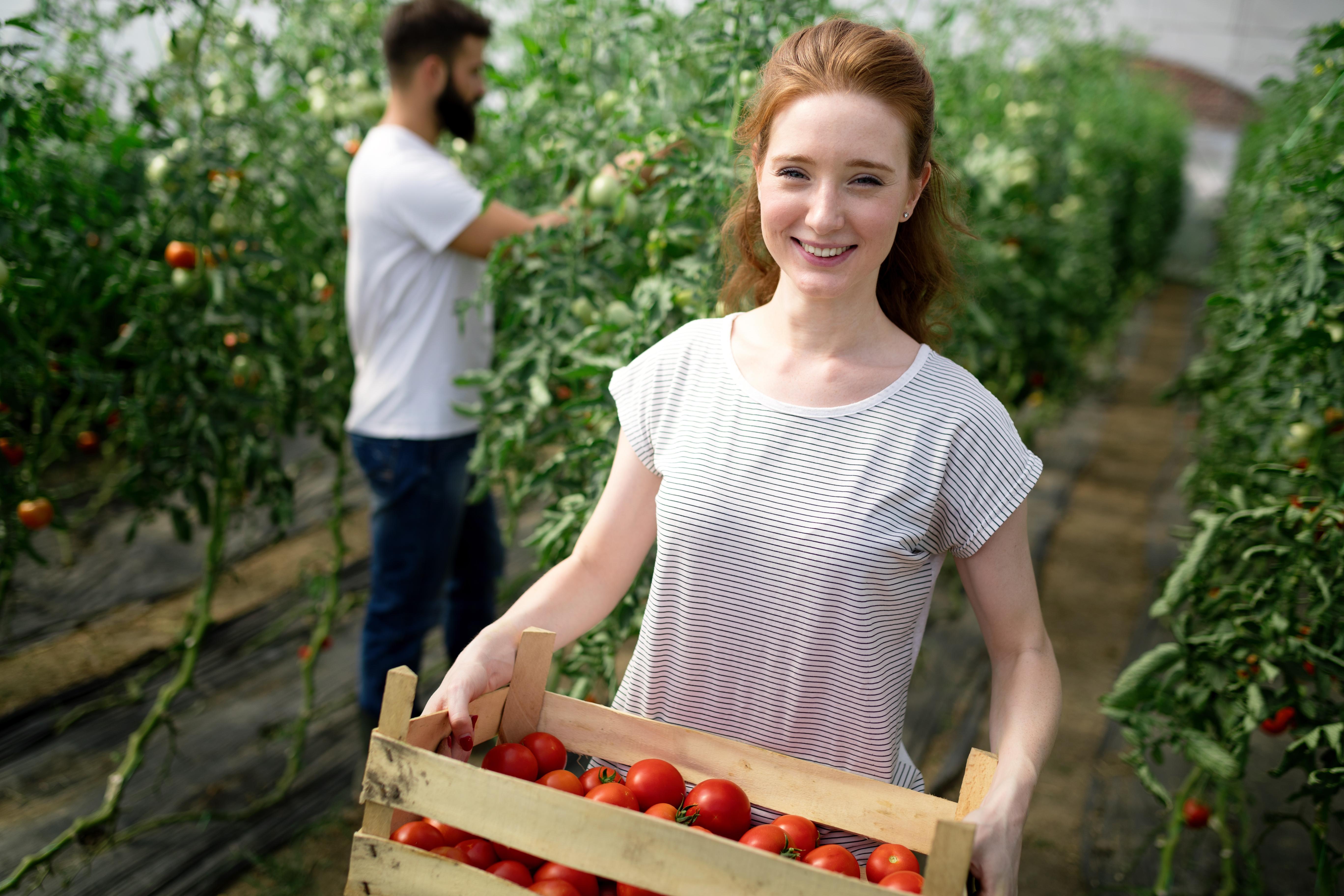 Young woman smiling while holding a crate of tomatoes